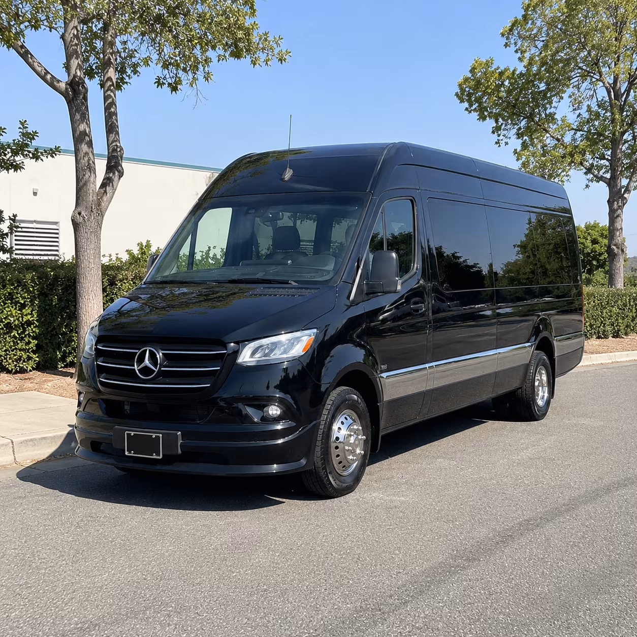 cambridge sprinter van with driver
